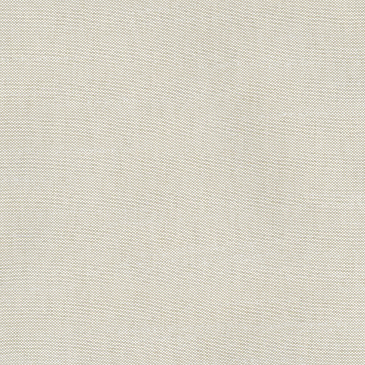 Fleeting Dove by Carole Designer Fabric Royale 100% Polyester India Passes 50,000 Double Rubs Wyzenbeek Horizontal: 0 and Vertical: 0 54 - Swanky Fabrics -