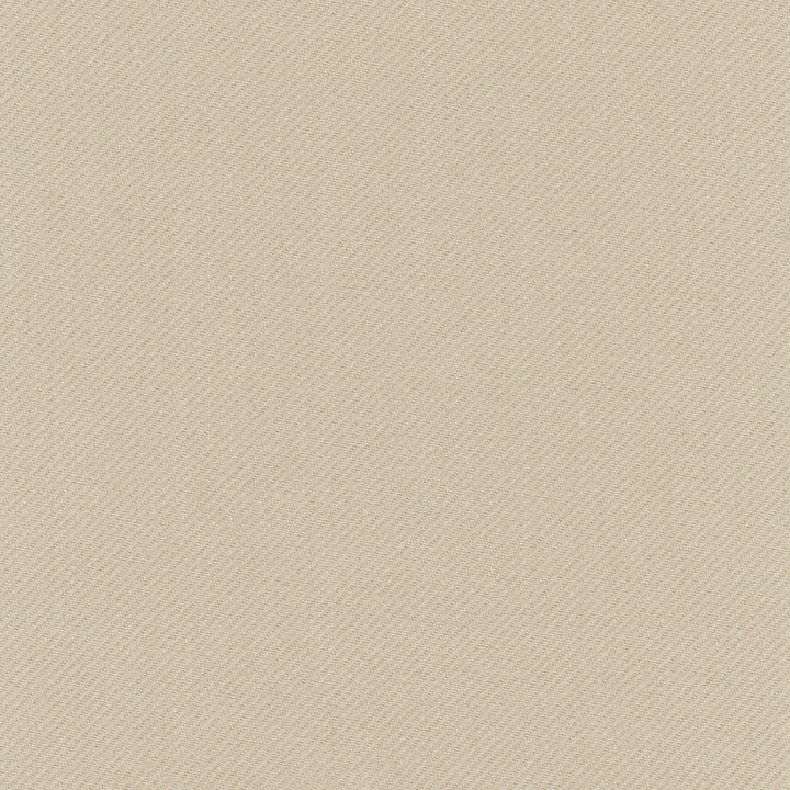 Reaction Putty by Carole Designer Fabric Opal 100% Polyester Turkey N/A Horizontal: 0 and Vertical: 0 59 - Swanky Fabrics -