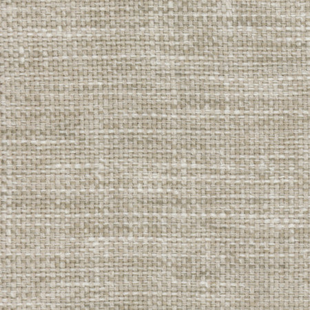 Lazarus Abalone by Carole Designer Fabric Prominence 54% Cotton, 46% Polyester India N/A None 54" - Swanky Fabrics -