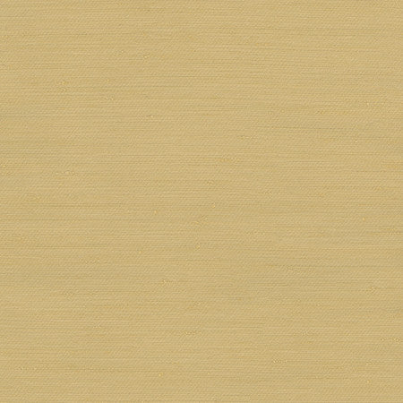 Rumi Gold Dust by Carole Designer Fabric Gala 100% Polyester India None 54" - Swanky Fabrics -