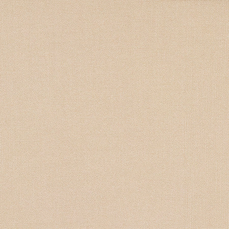 Reform Latte by Carole Designer Fabric Reclamation 100% Recycled Polyester 50,000 Wyzenbeek Double Rubs None 54" - Swanky Fabrics -
