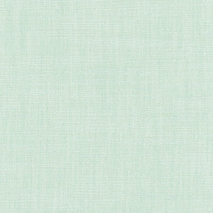 Athlete Seafoam by Carole Designer Fabric