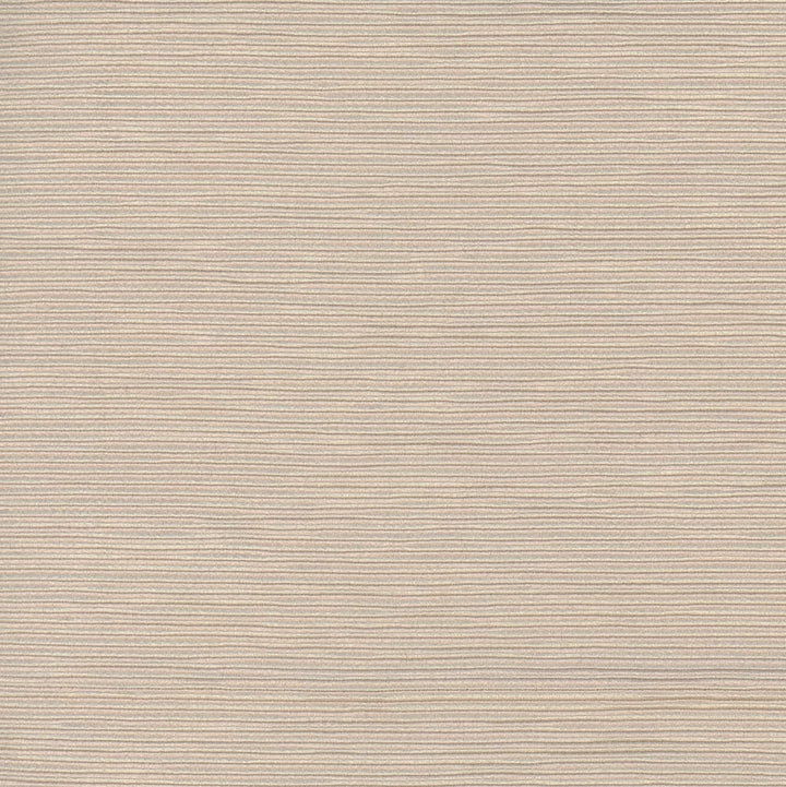 First Novel Putty by Carole Designer Fabric Stationery 72% Rayon, 28% Polyester China Passes 30,000 Double Rubs Wyzenbeek Horizontal: 0 and Vertical: 0 55 - Swanky Fabrics -