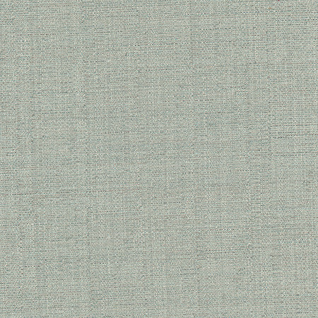 Cortland Aquamarine by Carole Designer Fabric Gala 100% Polyester India 30,000 WYZENBEEK DOUBLE RUBS None 54.75" - Swanky Fabrics -