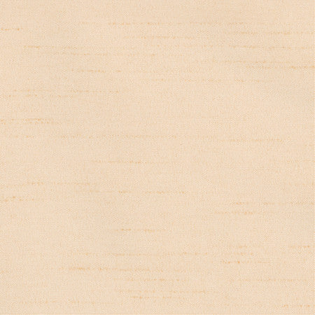 Bane Himalayan Salt by Carole Designer Fabric With Grace 100% Polyester Hybrid FR Mexico 30,000 WYZENBEEK DOUBLE RUBS None 54" - Swanky Fabrics -