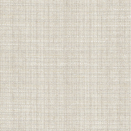 Rock Wall Fog by Carole Designer Fabric Opal 83% Polyester, 12% Cotton, 5% Rayon India N/A None 55" - Swanky Fabrics -