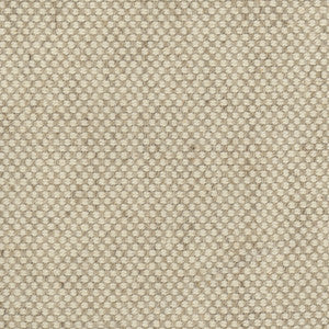 Abner Scoured by Carole Designer Fabric