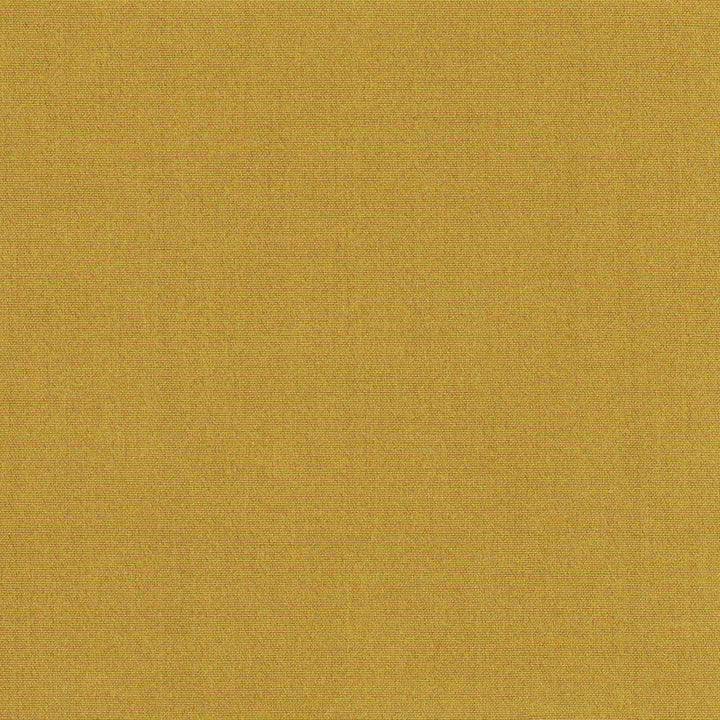 Tempt Ginger by Carole Designer Fabric Royale 100% IFR Polyester India Passes 45,000 Double Rubs Wyzenbeek Horizontal: 0 and Vertical: 0 54 - Swanky Fabrics -