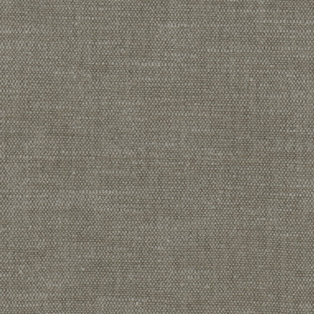 <p>Bessarion Wolf by Carole Designer Fabric</p><p><strong>Required Minimum Quantity Purchase: 2 yards</strong></p><p>Book: Prominence,Desert Sands</p><p>Content: 71% Polyester, 29% Cotton</p><p>Origin: </p><p>Performance: 15,000 Wyzenbeek Double Rubs</p><p>Repeat: None</p><p>Width: 55"</p>