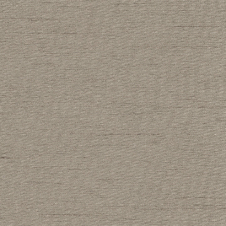 Northwind Fossil by Carole Designer Fabric New Northwind Iv 100% Polyester India Passes 9,000 Double Rubs Wyzenbeek Horizontal: 0 and Vertical: 0 54 - Swanky Fabrics -