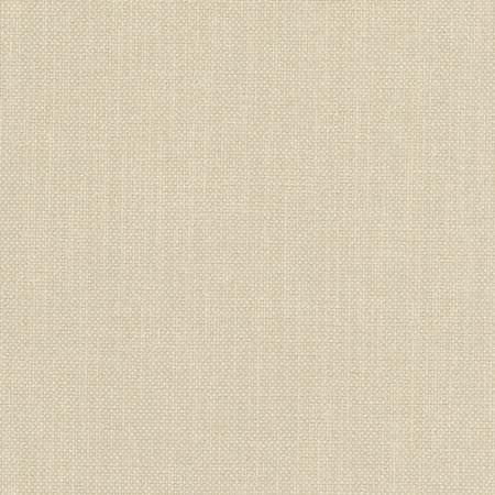 Liberty Dove by Carole Designer Fabric Liberty II 100% Polyester India 50,000 Wyzenbeek Double Rubs None 54" - Swanky Fabrics -