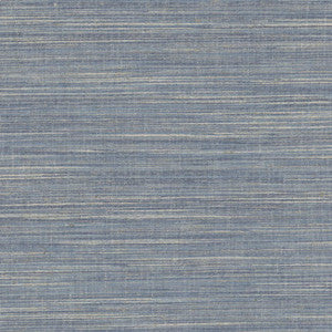 Kami Denim by Carole Designer Fabric
