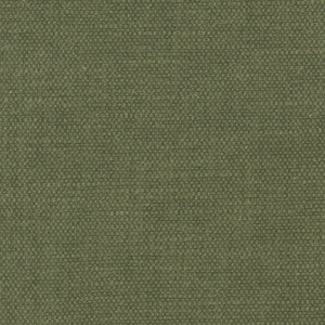 Bessarion Tarragon by Carole Designer Fabric