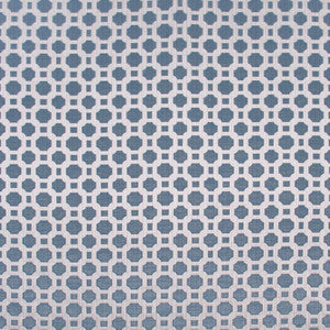 Prized Possession Sky by Carole Designer Fabric