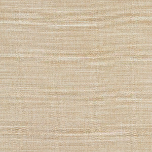 Boardroom Wet Sand by Carole Designer Fabric