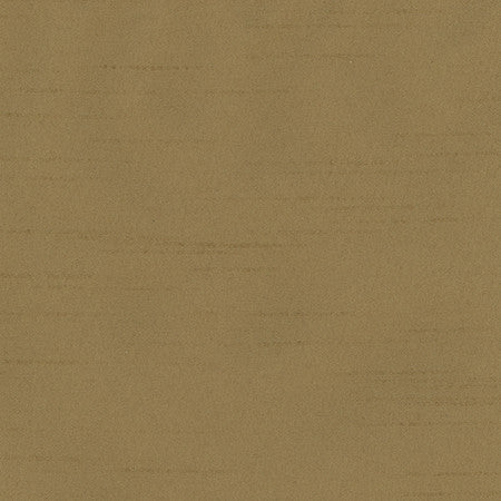 Bane Brown Sugar by Carole Designer Fabric With Grace 100% Polyester Hybrid FR Mexico 30,000 WYZENBEEK DOUBLE RUBS None 54" - Swanky Fabrics -