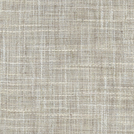 Tire Swing Shale by Carole Designer Fabric For The Window 100% Polyester India N/A </p><p>Repeat: None 56" - Swanky Fabrics -