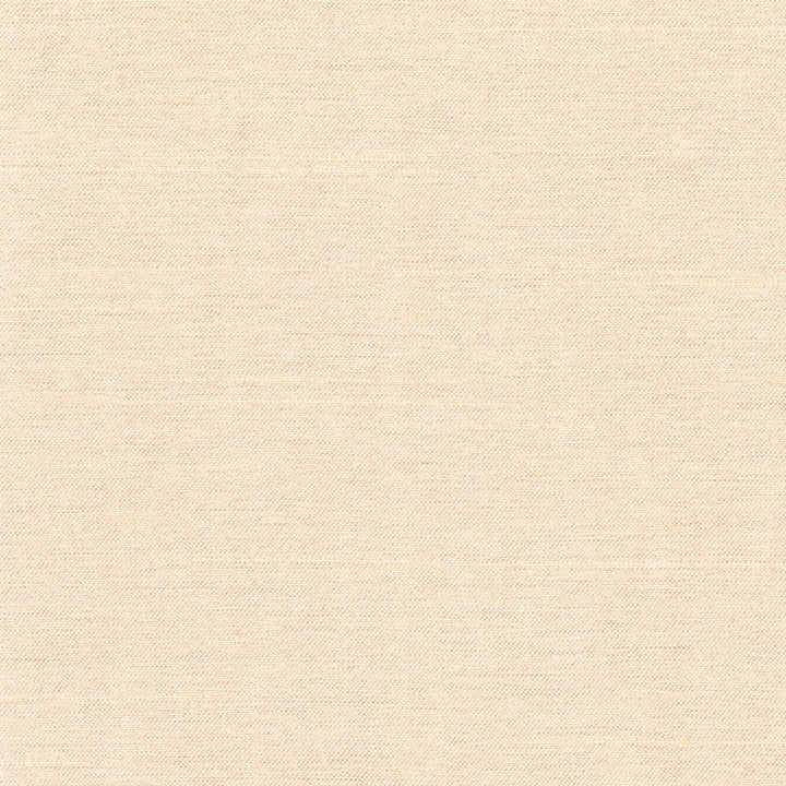 Northwind Dune by Carole Designer Fabric New Northwind Iv 100% Polyester India Passes 9,000 Double Rubs Wyzenbeek Horizontal: 0 and Vertical: 0 54 - Swanky Fabrics -