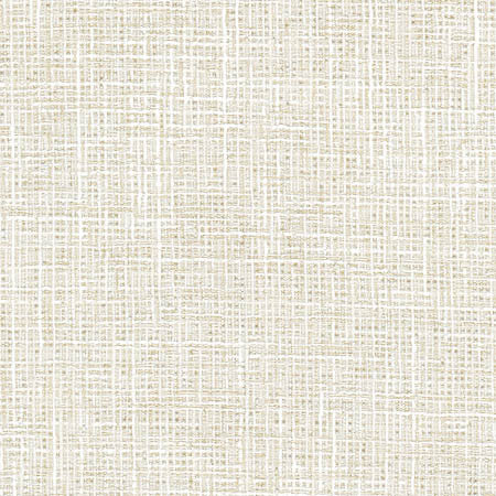 Adjuster Oyster by Carole Designer Fabric Toasted Almond 62% Polyester, 32% Cotton, 6% Viscose INDIA 27,000 Wyzenbeek Double Rubs None 54" - Swanky Fabrics -