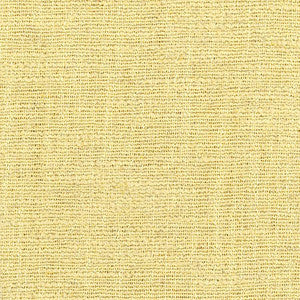 Warden Parmesan by Carole Designer Fabric
