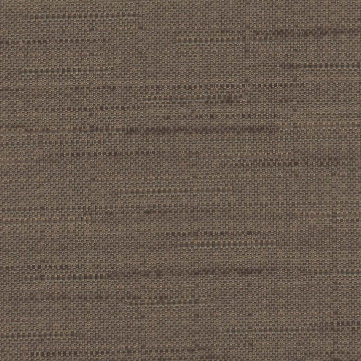 Banksville Sandlewood by Carole Designer Fabric Bigelow 100% Polyester Mexico Passes 18,000 Double Rubs Wyzenbeek Horizontal: 0 and Vertical: 0 54 - Swanky Fabrics -