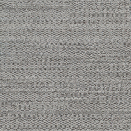 Aiden Viridian Grey by Carole Designer Fabric Aiden Gallery,Pewter,Subtle Hints 100% Polyester INDIA PASSES 30,000 DOUBLE RUBS WYZENBEEK Horizontal: None and Vertical: None 56" - Swanky Fabrics -