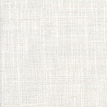 Totally Relaxed Winter White by Carole Designer Fabric COME HOME 90% Polyester, 10% Cotton India N/A </p><p>Repeat: None 54" - Swanky Fabrics -