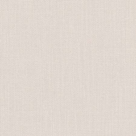 Liberty Pearl by Carole Designer Fabric Liberty,Liberty II 100% Polyester India None 54" - Swanky Fabrics -