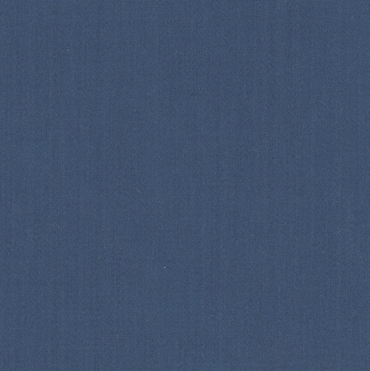 Tempt Ocean by Carole Designer Fabric Royale 100% IFR Polyester India Passes 45,000 Double Rubs Wyzenbeek Horizontal: 0 and Vertical: 0 54 - Swanky Fabrics -