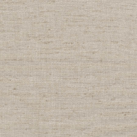 Training Day Stone by Carole Designer Fabric Dove Wing 92% Polyester, 8% Cotton INDIA N/A None 54" - Swanky Fabrics -