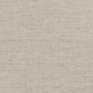 Training Day Stone by Carole Designer Fabric
