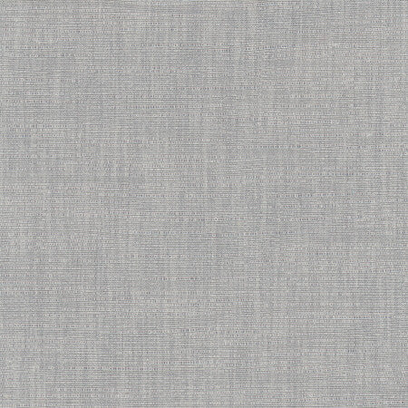 Athlete Concrete by Carole Designer Fabric Pewter 60% Cotton, 40% Polyester India Passes 50,000 Double Rubs Wyzenbeek Horizontal: None and Vertical: None 55" - Swanky Fabrics -