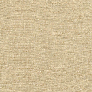 Training Day Sand by Carole Designer Fabric