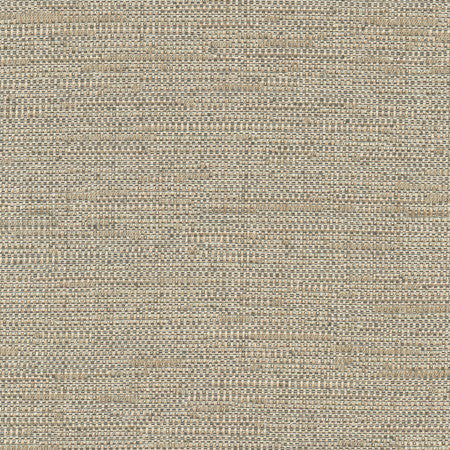 Cliff Top Bronze by Carole Designer Fabric Excursion 66% Polyester, 34% Cotton India 36,000 Wyzenbeek Double Rubs Horizontal: None and Vertical: None 56" - Swanky Fabrics -