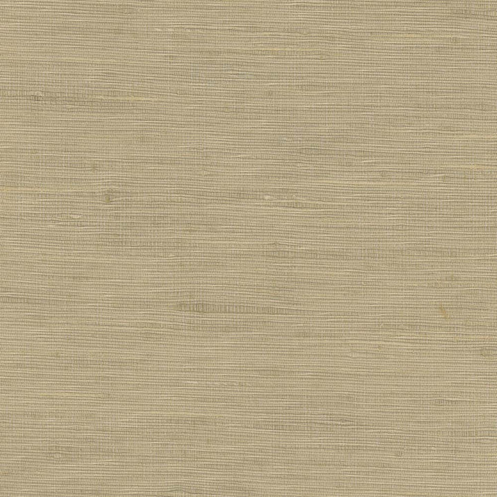 Lydia Mineral by Carole Designer Fabric Lydia Ii 100% Polyester India N/A Horizontal: 0 and Vertical: 0 54 - Swanky Fabrics -