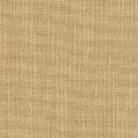 Liberty Cashew by Carole Designer Fabric Liberty,Liberty II 100% Polyester India Passes 50,000 Double Rubs Wyzenbeek None 54" - Swanky Fabrics -
