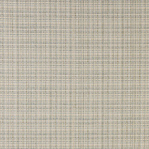 Small Change Granite Dust by Carole Designer Fabric