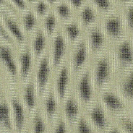 Fleeting Olive by Carole Designer Fabric Royale 100% Polyester India None 54" - Swanky Fabrics -