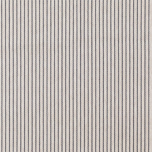 Be A Sport Charcoal by Carole Designer Fabric