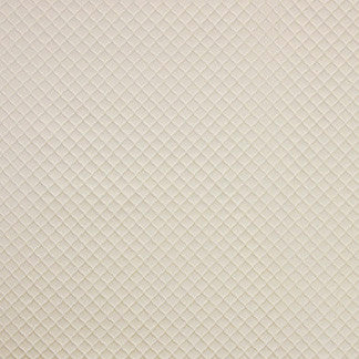 Contemplation Ivory by Carole Designer Fabric Silver Screen 100% Polyester China NONE 55" - Swanky Fabrics -