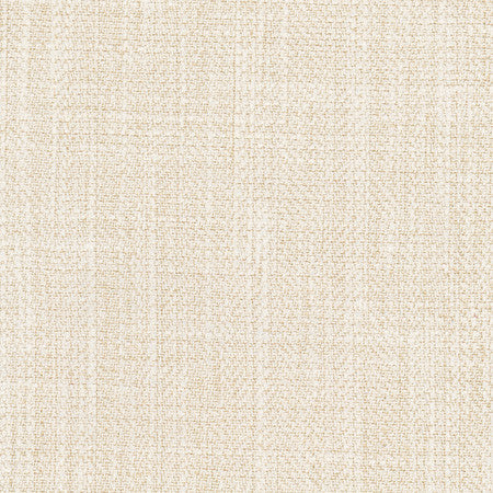 Fall Point Linen by Carole Designer Fabric On POint 43% Polyester, 19% Linen, 19% Cotton, 19% Rayon INDIA 100,000 Wyzenbeek Double Rubs </p><p>Repeat: None 54" - Swanky Fabrics -