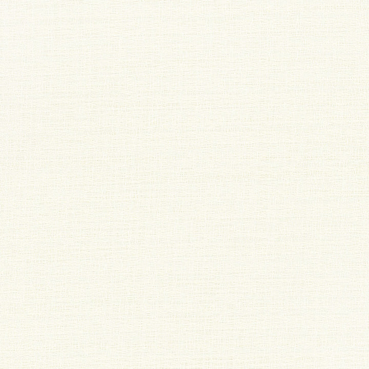 Trampoline Ivory by Carole Designer Fabric For The Window 100% Polyester Turkey N/A Horizontal: 0 and Vertical: 0 60 - Swanky Fabrics -
