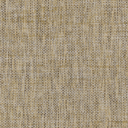 Breather Birch by Carole Designer Fabric Synchrony 100% Polyester Turkey 30,000 Wyzenbeek Double Rubs None 54" - Swanky Fabrics -