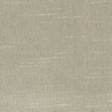 Fleeting Sand by Carole Designer Fabric Royale 100% Polyester India None 54" - Swanky Fabrics -