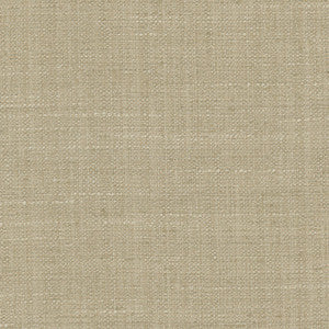 The Reason Is Biscuit by Carole Designer Fabric