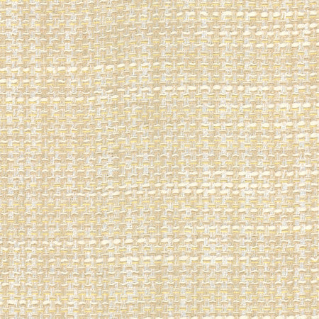 Endurance Sea Salt by Carole Designer Fabric Head Start 100% Polyester IFR Hybrid India None 54" - Swanky Fabrics -