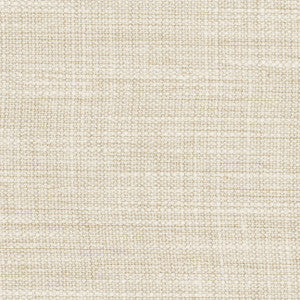 Revised Edition Natural by Carole Designer Fabric