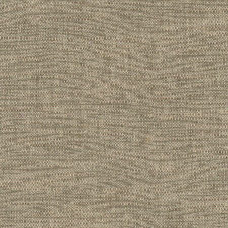 Athlete Taupe by Carole Designer Fabric Chestnut 60% Cotton, 40% Polyester India Passes 50,000 Double Rubs Wyzenbeek Horizontal: None and Vertical: None 55" - Swanky Fabrics -