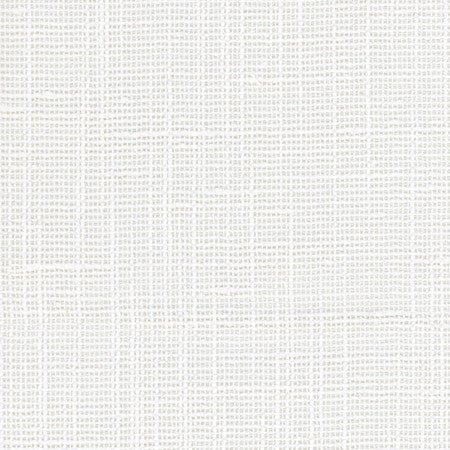 Slow Down Coconut by Carole Designer Fabric COME HOME,See It Through,In The Open 100% Polyester N/A None 54" - Swanky Fabrics -