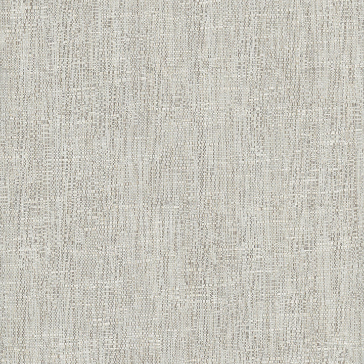 Hard Knocks Seagull by Carole Designer Fabric Pewter 69% Polyester, 31% Cotton India Passes 30,000 Double Rubs Wyzenbeek Horizontal: 0 and Vertical: 0 555 - Swanky Fabrics -